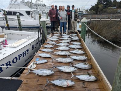 Pirate&#039;s Cove Marina photo