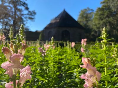 Elizabethan Gardens photo