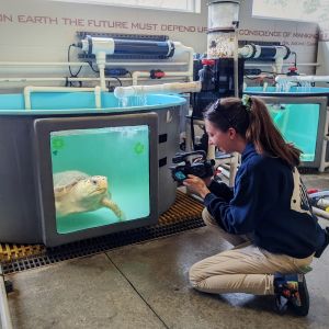 North Carolina Aquarium on Roanoke Island photo