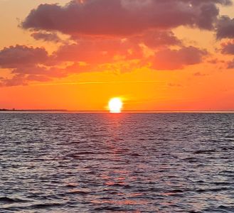 Captain Johnny’s Dolphin Tours photo