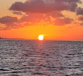 Captain Johnny’s Dolphin Tours photo