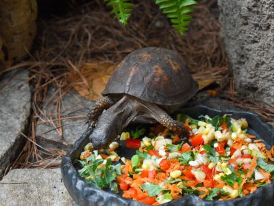 North Carolina Aquarium on Roanoke Island photo