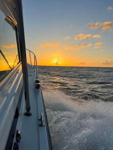 Wild Card Sportfishing Charters photo