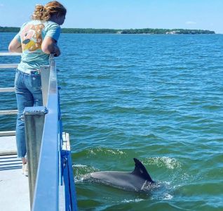 Captain Johnny’s Dolphin Tours photo