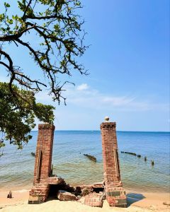 Elizabethan Gardens photo