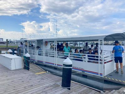 Harbor Star Dolphin Tours photo