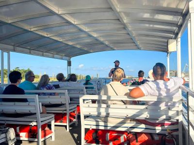 Harbor Star Dolphin Tours photo