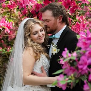 Elizabethan Gardens photo