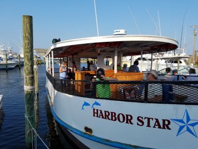 Harbor Star Dolphin Tours photo