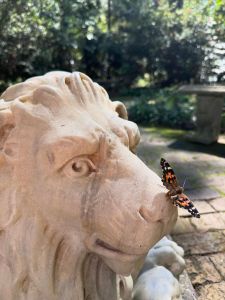 Elizabethan Gardens photo