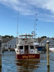 Pirate's Cove Marina photo