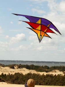 Kitty Hawk Kites photo