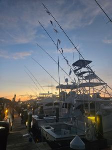 Pirate's Cove Marina photo