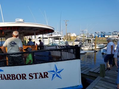 Harbor Star Dolphin Tours photo