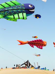 Kitty Hawk Kites photo