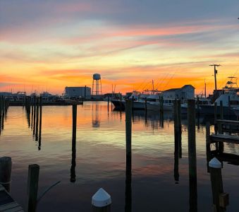 Wanchese Marina photo