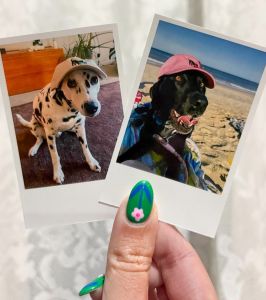 Downtown Books photo
