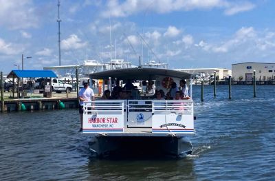 Harbor Star Dolphin Tours photo