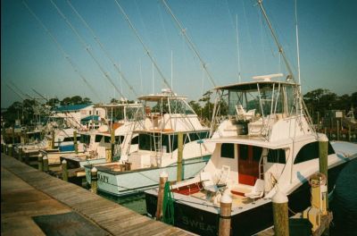 Wanchese Marina photo