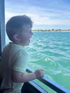 Captain Johnny’s Dolphin Tours photo