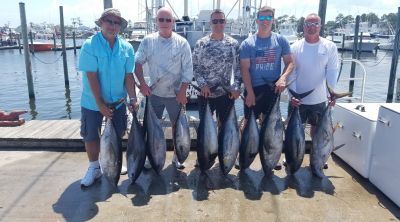 Phideaux Fishing photo