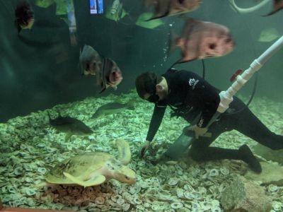 North Carolina Aquarium on Roanoke Island photo