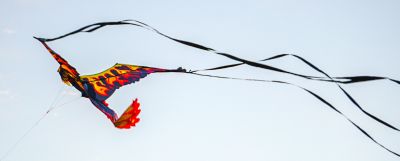 Kitty Hawk Kites photo