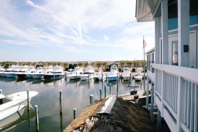 Blue Water Grill &amp; Raw Bar photo