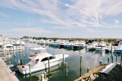 Blue Water Grill &amp; Raw Bar photo