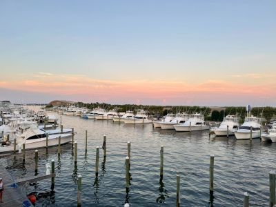 Blue Water Grill &amp; Raw Bar photo