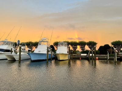 Blue Water Grill &amp; Raw Bar photo