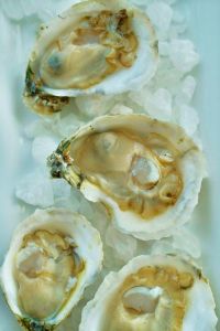 Blue Water Grill &amp; Raw Bar photo