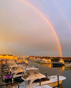 Blue Water Grill &amp; Raw Bar photo