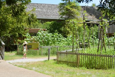 Roanoke Island Festival Park photo