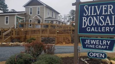 Silver Bonsai Gallery photo