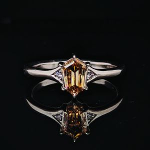 Silver Bonsai Gallery photo