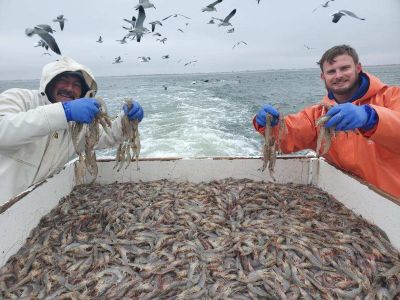 Risky Business Shrimping &amp; Crabbing Charters photo