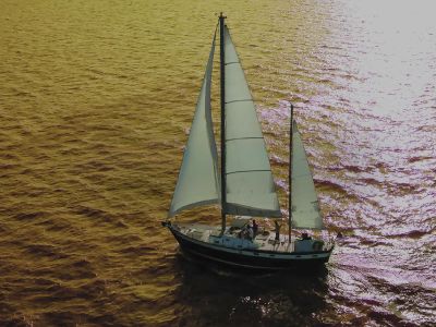 Kitty Hawk Surf Co. photo