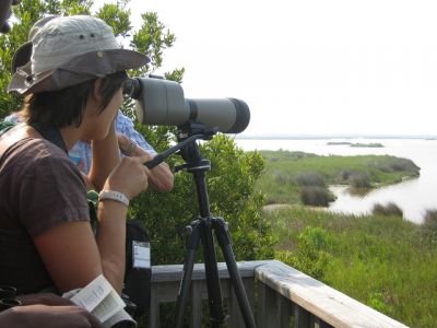 Alligator River National Wildlife Refuge