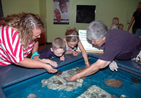 North Carolina Aquarium on Roanoke Island, Quarantine Tour