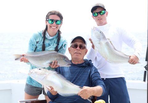 Wild Card Sportfishing Charters, Deep Sea Offshore Fishing Charters