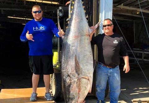 Carolina Girl Sportfishing Charters Outer Banks, Full Day Offshore Giant Bluefin Tuna Charter