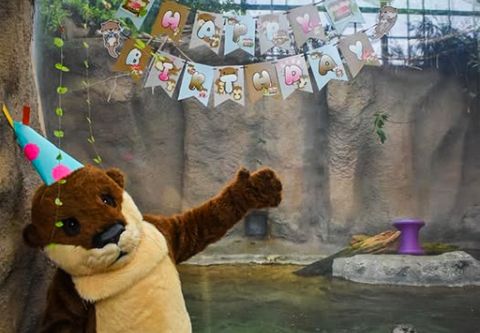 North Carolina Aquarium on Roanoke Island, Birthday Parties