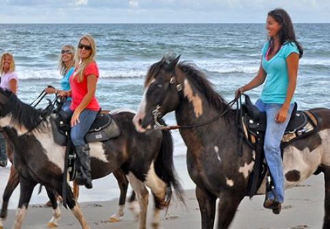 Kitty Hawk Kites, Hatteras Beach Horseback Riding Tours