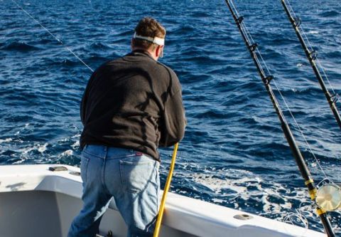 Kitty Hawk Kites, Deep Sea Fishing Charters