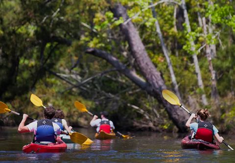Kitty Hawk Surf Co., OBX Kayak Tours