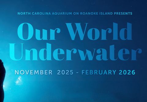 North Carolina Aquarium on Roanoke Island, Our World Underwater
