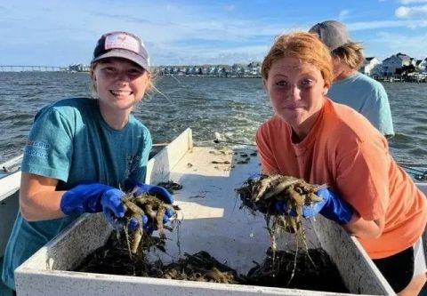 Risky Business Shrimping & Crabbing Charters, Mid-Morning Shrimp & Crab Charter