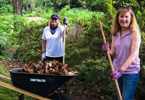 Elizabethan Gardens, Volunteer at the Gardens