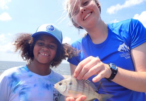 North Carolina Aquarium on Roanoke Island, What's the Catch?